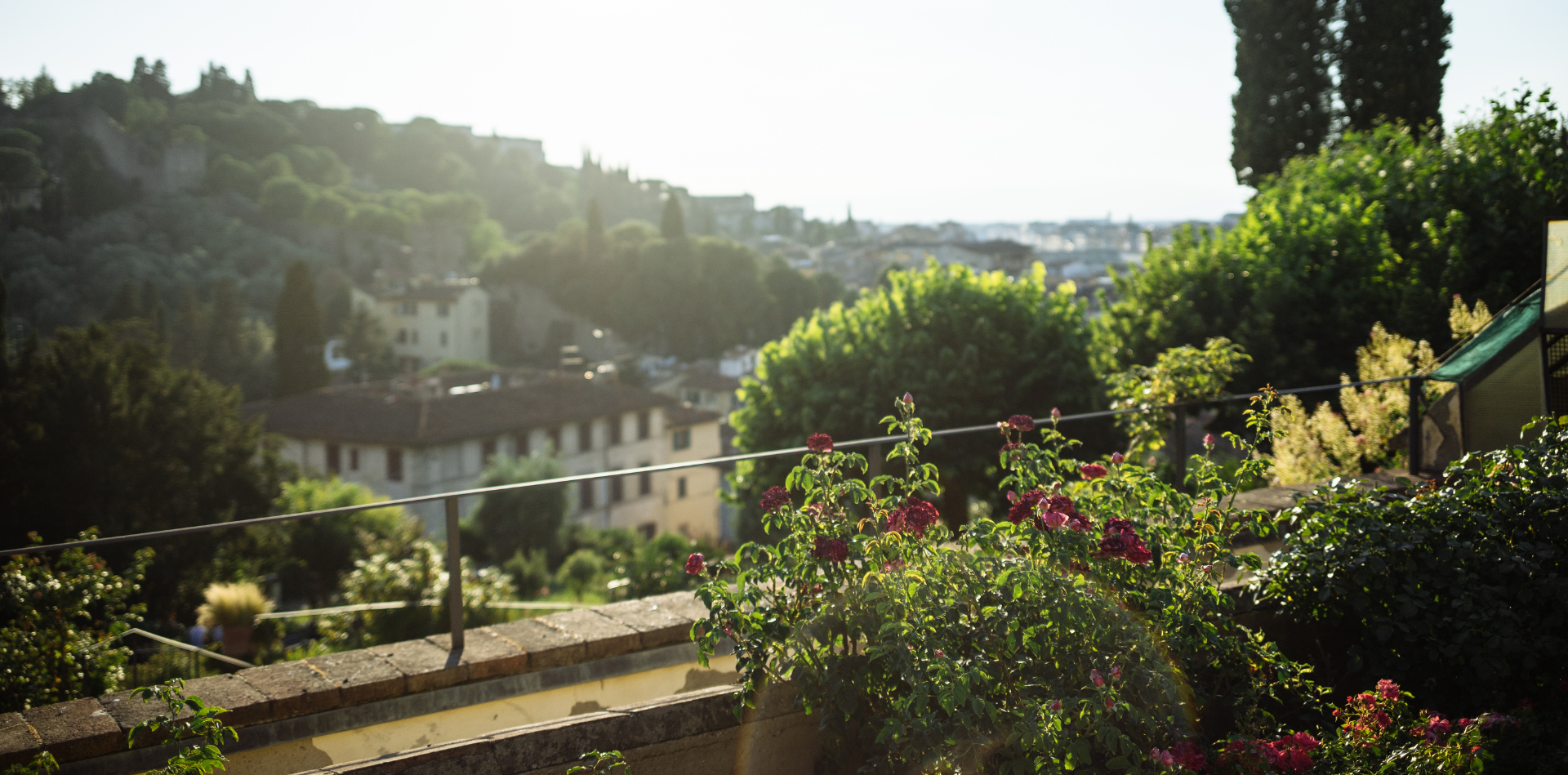 Giardino delle Rose Firenze: orari e quando andare