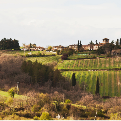 Cosa vedere nel Chianti: borghi, colline e castelli