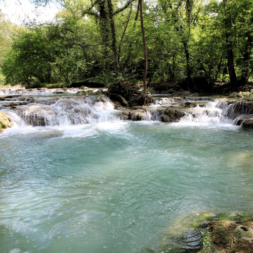 Parco fluviale dell’Elsa e Sentierelsa: guida completa