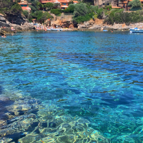 Isola di Giannutri: spiagge, come arrivare e info