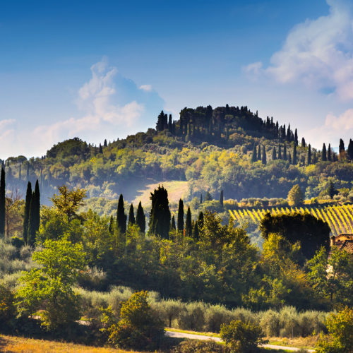 Sagre in Toscana 2026