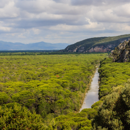 Parco della Maremma: cosa vedere, flora, fauna e sentieri
