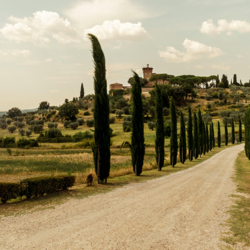 Percorso Via Francigena Toscana: guida completa